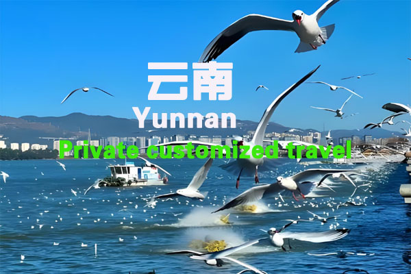 Yunnan 5-d